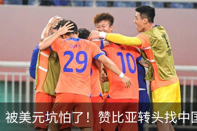 被美元坑怕了！赞比亚转头找中国：铜矿换人民币，这买卖划算！